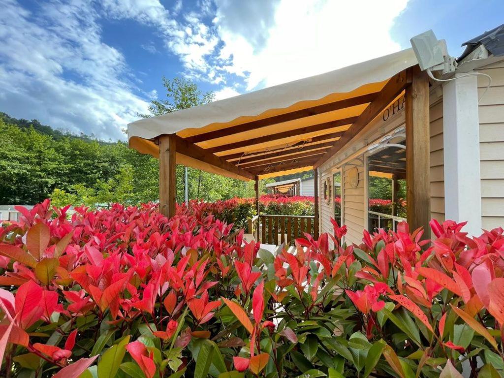 Camping Igara De 산세바스티안 외부 사진